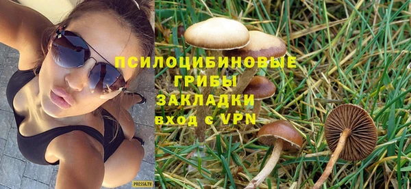 сатива Алексин