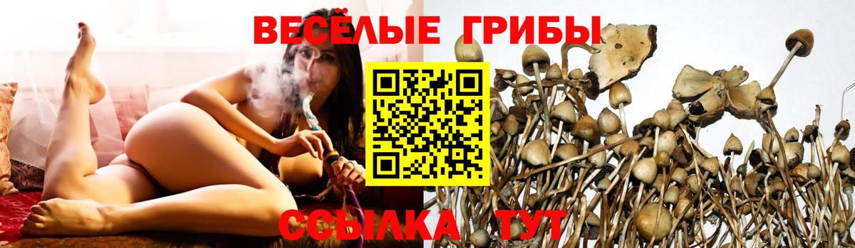 Псилоцибиновые грибы мухоморы  Вход с VPN  Павлово 